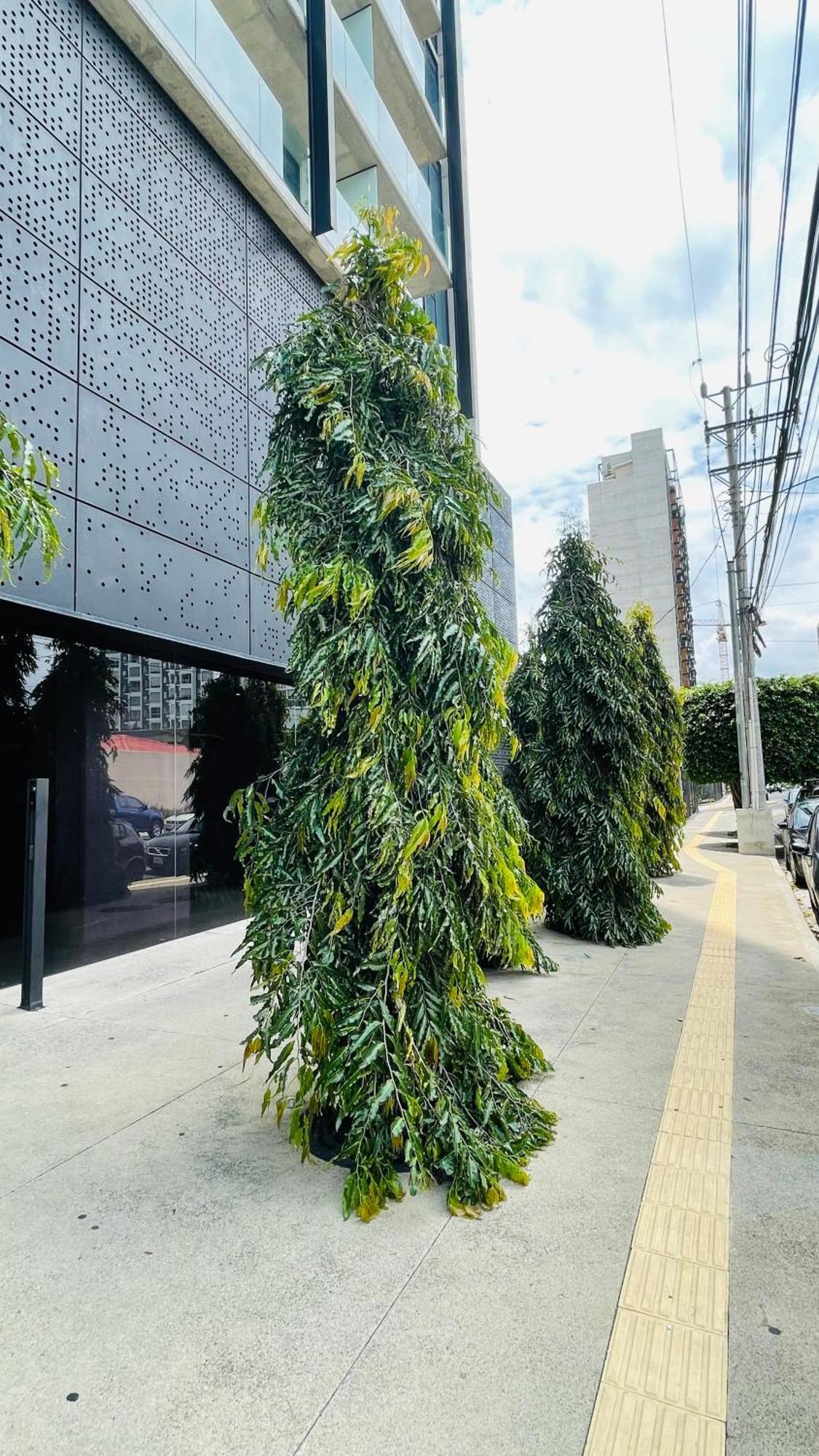 Cozy Apartment With Terrace, Sj Cosmopolitan Tower #402 聖荷西 外观 照片