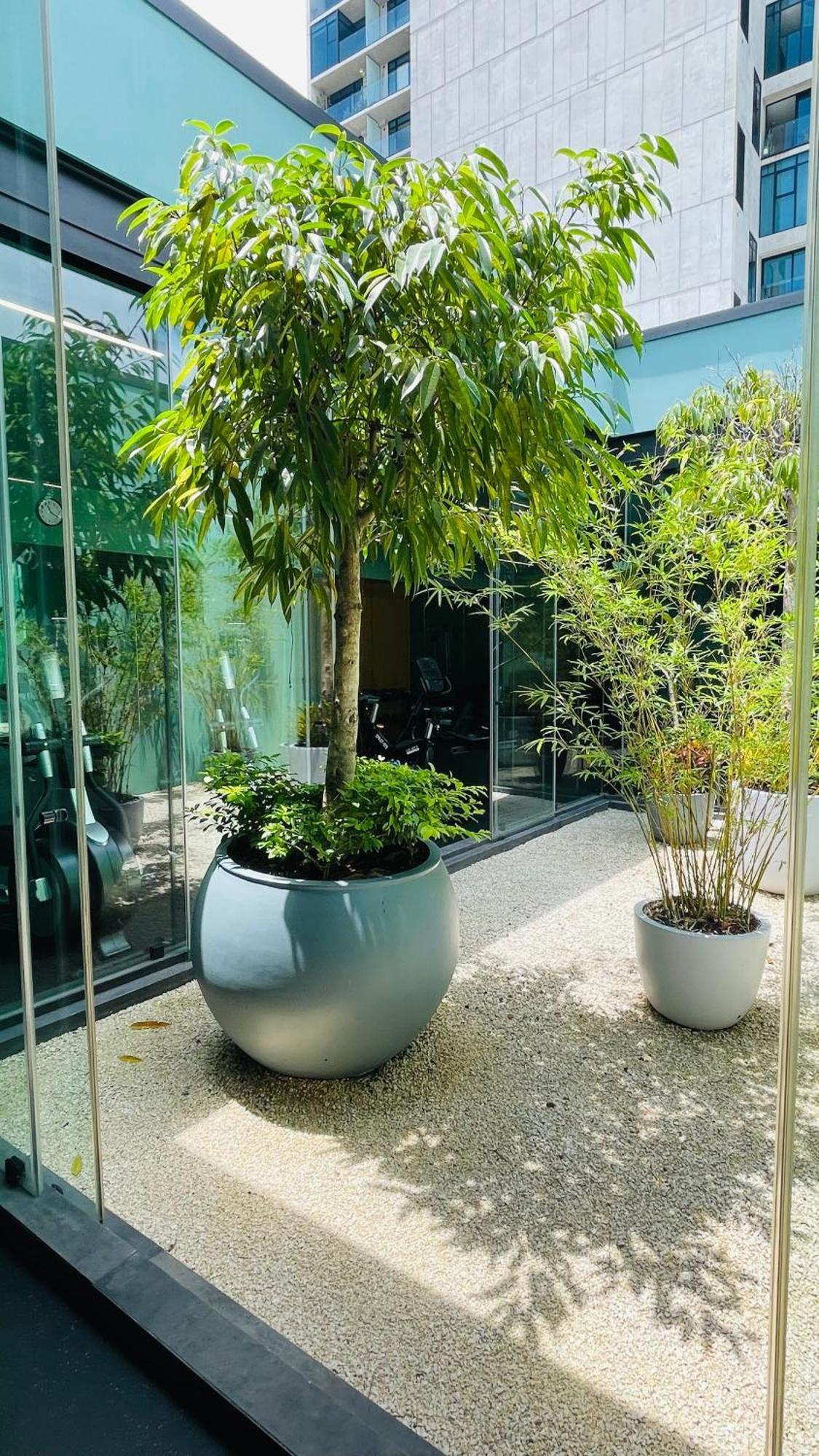 Cozy Apartment With Terrace, Sj Cosmopolitan Tower #402 聖荷西 外观 照片